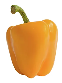 Images Dated 17th October 2008: Pepper - orange - in studio