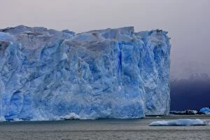 Images Dated 8th April 2009: Perito Moreno Glacier - Glacier National Park. Magallanes Peninsula - Patagonia - Argentina