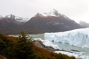 Images Dated 7th April 2009: Perito Moreno Glacier - Glacier National Park. Magallanes Peninsula - Patagonia - Argentina