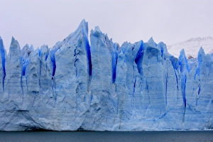 Images Dated 8th April 2009: Perito Moreno Glacier - Glacier National Park. Magallanes Peninsula - Patagonia - Argentina