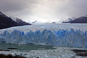 Images Dated 7th April 2009: Perito Moreno Glacier - Glacier National Park. Magallanes Peninsula - Patagonia - Argentina