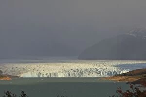 Images Dated 10th April 2009: Perito Moreno Glacier - Glacier National Park. Magallanes Peninsula - Patagonia - Argentina