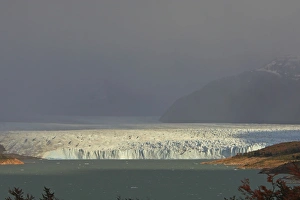 Images Dated 10th April 2009: Perito Moreno Glacier - Glacier National Park. Magallanes Peninsula - Patagonia - Argentina