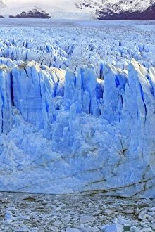 Images Dated 8th April 2009: Perito Moreno Glacier - Glacier National Park. Magallanes Peninsula - Patagonia - Argentina