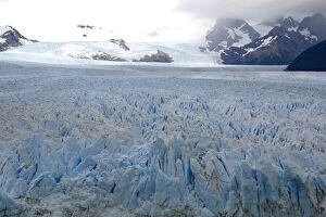 David Gallery: The Perito Moreno Glacier located in