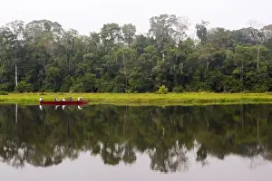 Peru Manu Wildlife Reserve