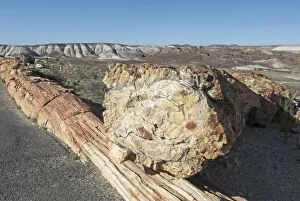 Images Dated 23rd April 2007: Petrified Forest National Park, Arizona, USA