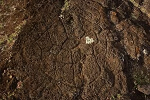 Images Dated 5th November 2004: Petroglyph of Papa Tataku Poke, representing a
