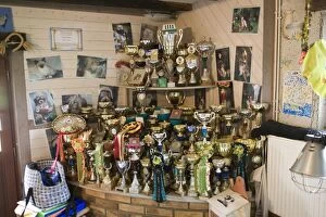 Pets - trophies & prizes from dog & cat competitions