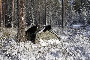Photoghrapher - tent / hide in forest to photograph