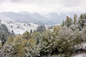 Images Dated 9th October 2010: The Piatra Craiulu mountains