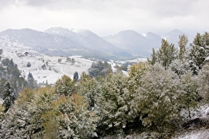 Images Dated 9th October 2010: The Piatra Craiulu mountains