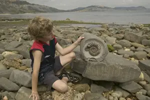 Palaeontologists Prints: Picture No. 10734727