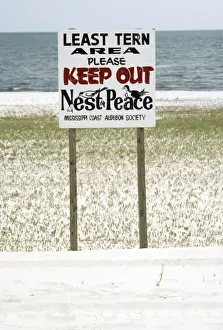 Signs Prints: Picture No. 10735150