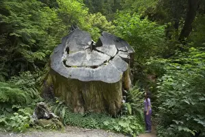Tourists Prints: Picture No. 10737494