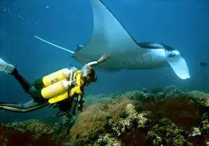 Maldives Prints: Picture No. 10739625