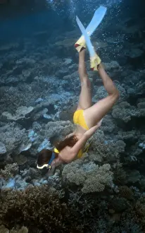 Divers Prints: Picture No. 10739824