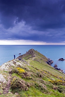 Images Dated 28th April 2012: Picture No. 10740970