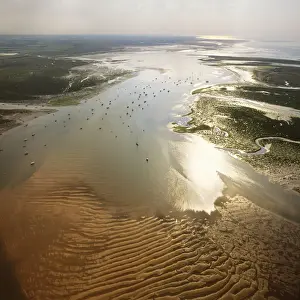 Mudflat Prints: Picture No. 10741280