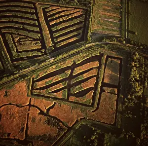 Harvests Prints: Picture No. 10741287