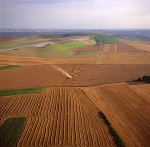 Harvests Prints: Picture No. 10741298