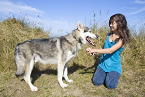 Alaskan Collection: Picture No. 10742531