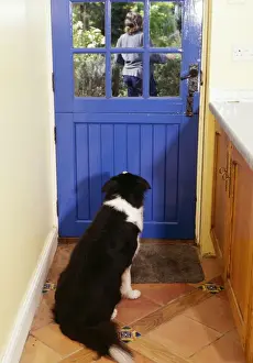 Watching Prints: Picture No. 10743267