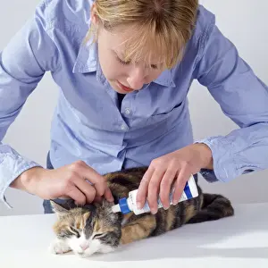 Veterinary Prints: Picture No. 10743401
