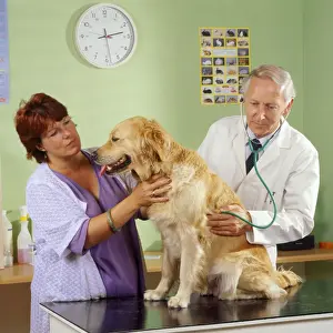 Veterinary Prints: Picture No. 10743450