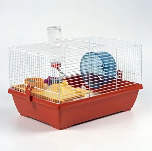 Cage Prints: Picture No. 10743970