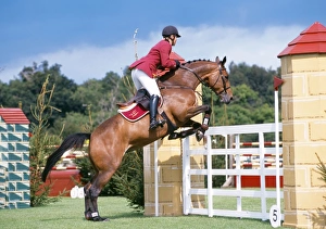 Show Collection: Picture No. 10744342