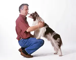 Picture No. 10744473