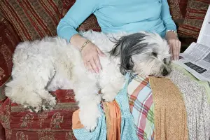 Sofa Prints: Picture No. 10745260
