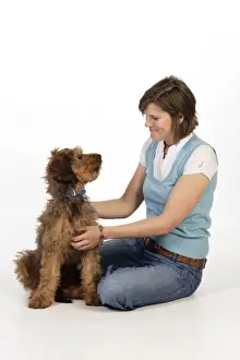 Briard Prints: Picture No. 10746634
