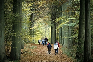 Belgium Collection: Picture No. 10752833