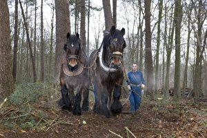 Belgium Collection: Picture No. 10752846