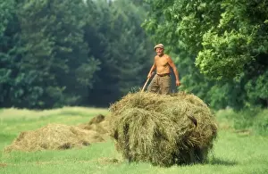 Harvests Prints: Picture No. 10753597