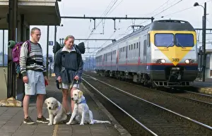 Picture No. 10753626