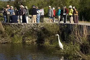 Everglades Prints: Picture No. 10754722
