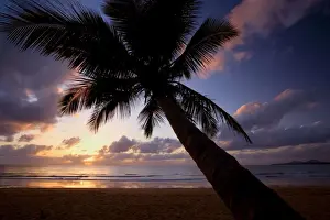 Palms Prints: Picture No. 10758358