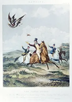 1 Prints: Picture No. 10760135