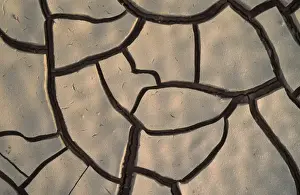 Cracked Prints: Picture No. 10760731