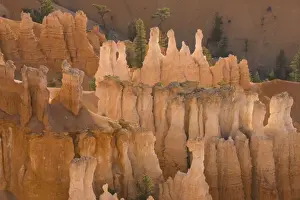 Gorges Prints: Picture No. 10760836