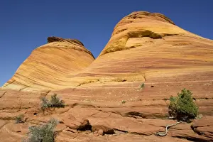 Sandstone Prints: Picture No. 10760986