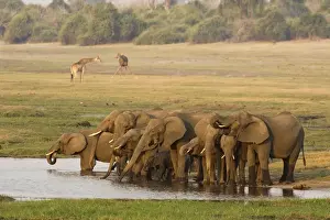 Waterholes Prints: Picture No. 10761116