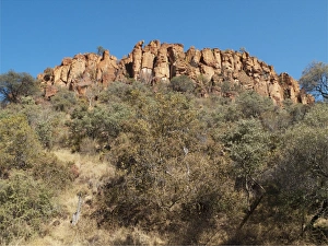 Images Dated 28th July 2009: Picture No. 10761238