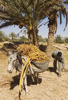Villages Prints: Picture No. 10761394