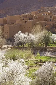 Villages Prints: Picture No. 10761530