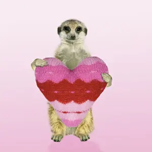 Romance Prints: Picture No. 10761559