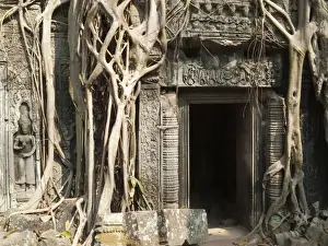 Angkor Prints: Picture No. 10761606